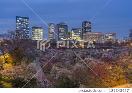 大阪城梅林夜景：盛開的梅花和大阪商務公園 123848957
