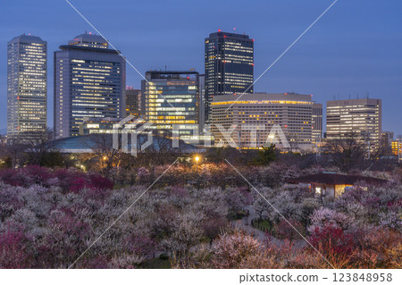 大阪城梅林夜景：盛開的梅花和大阪商務公園 123848958