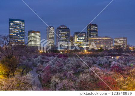 大阪城梅林夜景：盛開的梅花和大阪商務公園 123848959
