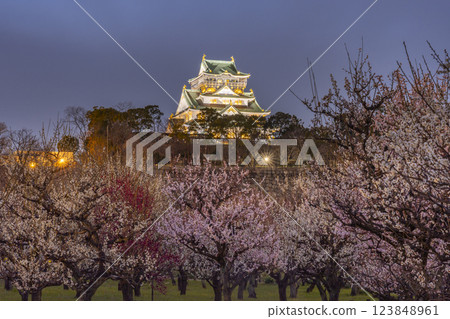 Osaka Castle Plum Grove at Night: Plum blossoms in full bloom and Osaka Castle Tower Osaka Castle Plum Grove at Night: Plum blossoms in full bloom and Osaka Castle Tower 123848961