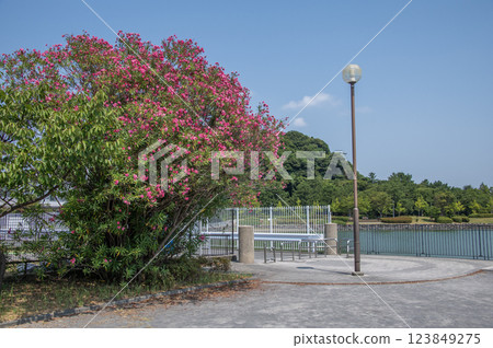 Tomioka Namiki Funadamari Park, Tomioka Higashi, Kanazawa Ward, Yokohama City, Kanagawa Prefecture Tomioka Namiki Funadamari Park, Tomioka Higashi, Kanazawa Ward, Yokohama City, Kanagawa Prefecture 123849275