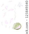 Watercolor style illustration of sakura mochi and sakura. 123849340