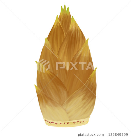 Illustration material of the taste of spring, seasonal vegetables, bamboo shoots 123849399