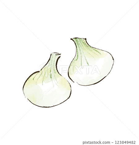 Illustration of new onions in watercolor style 123849482