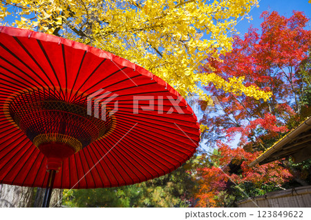 紅色日本傘、銀杏樹和楓樹 紅色日本傘、銀杏樹和楓樹 123849622