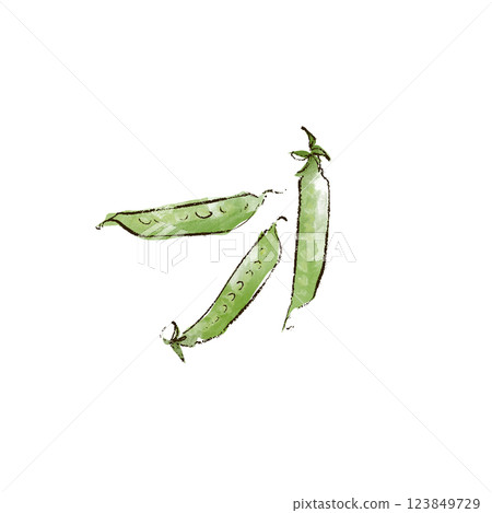 Illustration of snow peas in watercolor style 123849729