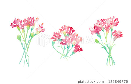 Watercolor painting. Watercolor Mother's Day carnation illustration. Mother's Day carnation background vector illustration. Watercolor painting. Watercolor Mother's Day carnation illustration. Mother's Day carnation background vector illustration. 123849776