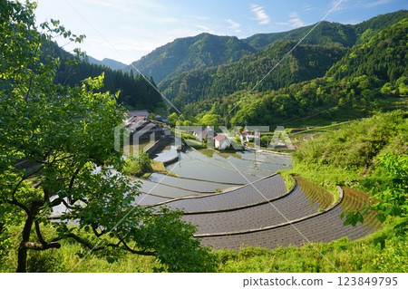 廣島縣安藝太田町伊仁町插秧後的梯田 Ver3 123849795