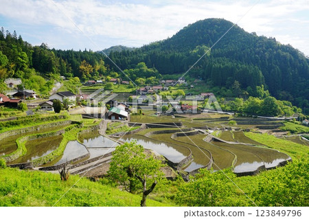 Terraced rice fields in Ini, Akiota-cho, Hiroshima Prefecture after rice planting Ver2 123849796