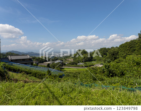 從大阪府柏原市高尾山看到的風景 從大阪府柏原市高尾山看到的風景 123849798