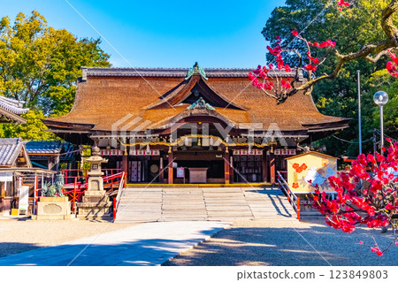 大阪府道明寺天滿宮的禮拜殿 123849803