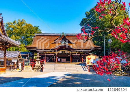 大阪府道明寺天滿宮的禮拜殿 123849804