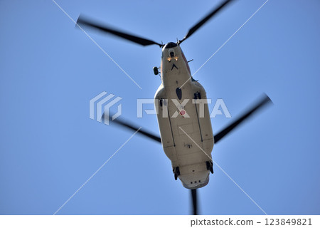 Disasters, wildfires, etc., large transport helicopter CH-47 Chinook 123849821