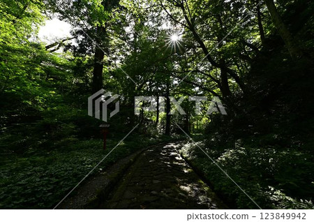 Ogamiyama Shrine with fresh greenery 123849942