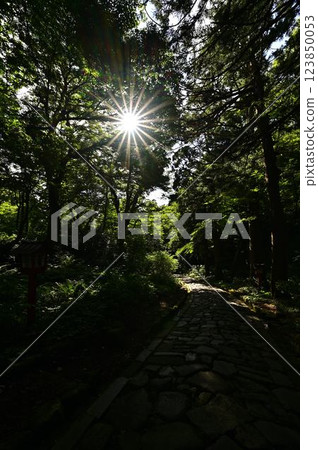 鮮綠的大神山神社 鮮綠的大神山神社 123850053