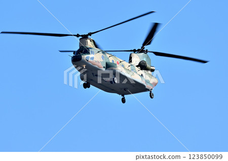 災害、山火等大型運輸直升機CH-47 Chinook 123850099