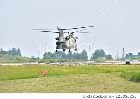 Disasters, wildfires, etc., large transport helicopter CH-47 Chinook 123850255