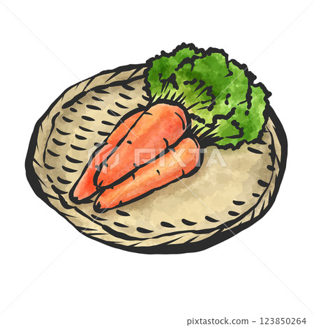 Spring carrot hand-drawn illustration 123850264