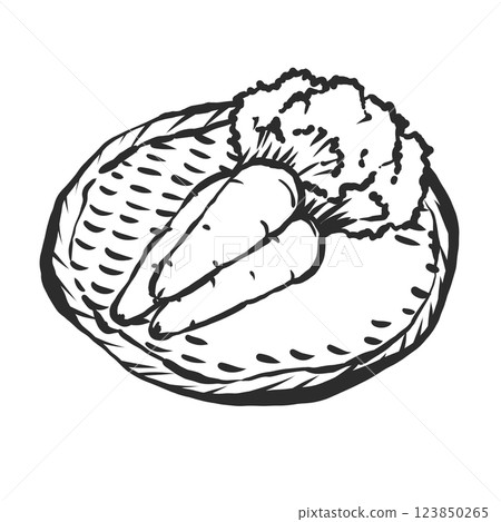 Spring carrot hand-drawn illustration 123850265