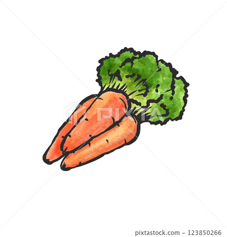 春季胡蘿蔔手繪插畫 春季胡蘿蔔手繪插畫 123850266