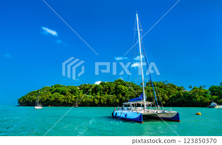 Catamaran for Kourou at Ile Royale, the Salvation Islands in French Guiana, South America 123850370