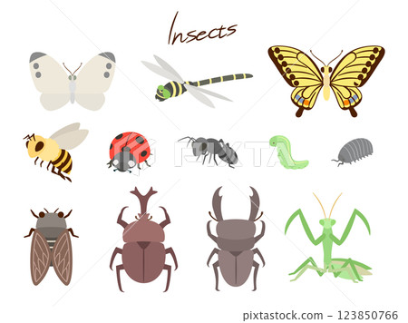 Set of insects_natural flat design 123850766