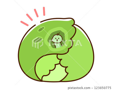 蠕蟲白菜 123850775