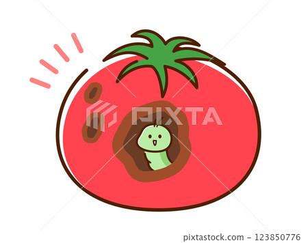 Worm-eaten tomato 123850776