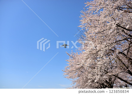 Air Self-Defense Force Iruma Base C-2 transport plane takes off 123850834