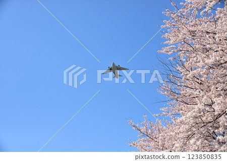 航空自衛隊入間基地C-2運輸機起飛 123850835
