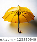 umbrella, long umbrella, folding umbrella, automatic umbrella, manual umbrella, transparent umbrella, waterproof umbrella, windproof umbrella, mini umbrella, kids umbrella, parasol, raincoat, rain pon 123850949