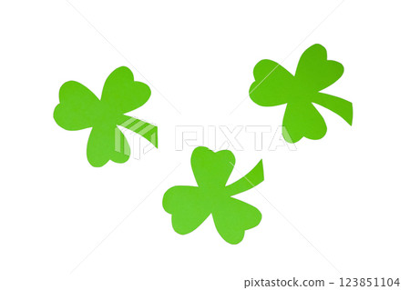 Patrick`s day, green clover leaves isolated on white background, top view, PNG 123851104