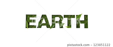 Earth day, paper cut word, green leaves and grass on white background, top view 123851122