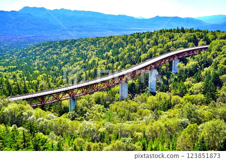 北海道上士幌町三國嶺松見橋的壯麗景色 123851873