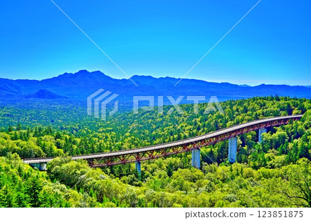 北海道上士幌町三國嶺松見橋的壯麗景色 123851875