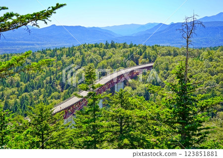 北海道上士幌町三國嶺松見橋的壯麗景色 123851881
