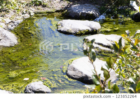 Brooks of the Japanese garden Brooks of the Japanese garden 123852264