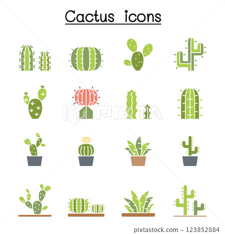 Cactus and succulent plant icon set in flat color style Cactus and succulent plant icon set in flat color style 123852884
