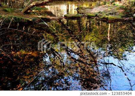 Itajikiyama Daikakuji Temple #44 123853404