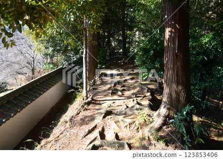 Itajikiyama Daikakuji Temple #46 Itajikiyama Daikakuji Temple #46 123853406