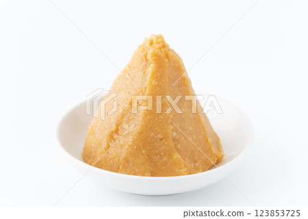 盤子裡的米味噌（白色） 123853725