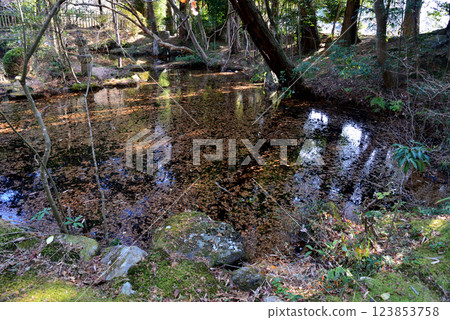 Itajikiyama Daikakuji Temple #64 Itajikiyama Daikakuji Temple #64 123853758