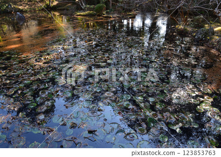 Itajikiyama Daikakuji Temple #69 Itajikiyama Daikakuji Temple #69 123853763
