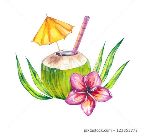 Watercolor coconut hand drawn nut Watercolor coconut hand drawn nut 123853772