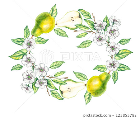 Watercolor pears isolated wreath botany 123853782