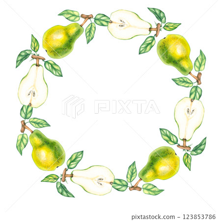 Watercolor pears isolated wreath botany 123853786