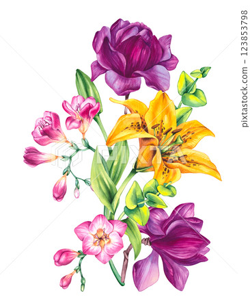 Floral illustration with freesia magnolia and lily Floral illustration with freesia magnolia and lily 123853798
