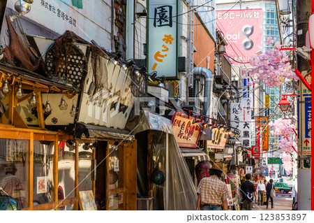 Shinjuku drinking district 123853897