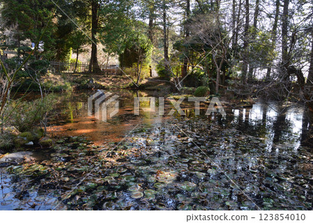 板敷山大覺寺 #71 板敷山大覺寺 #71 123854010