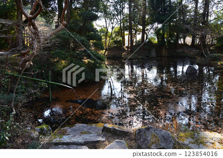 Itajikiyama Daikakuji Temple #77 123854016